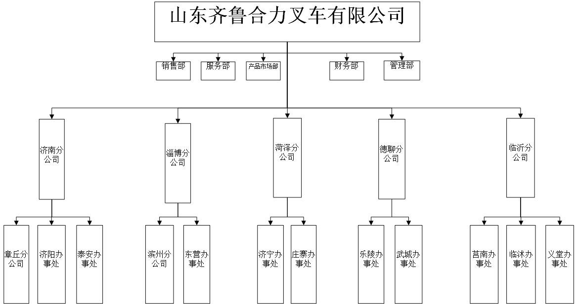 齐鲁人生就是博官网组织机构图.jpg